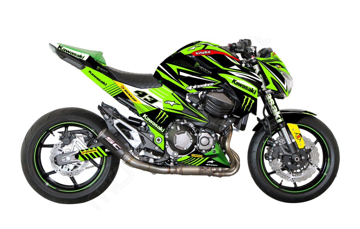Kawasaki Z800 CUP