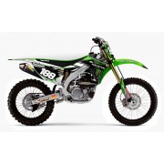 2014 Kawasaki Team Green