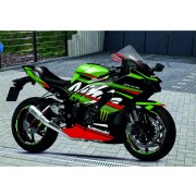 Ninja Style ZX10R (21-24)