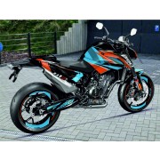 Radical DUKE 790/890_(2018-2024)