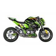 Kawasaki Z800 CUP