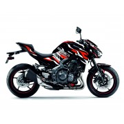 GreenEdition_RED_Kawasaki Z900_(2017-2019)