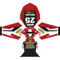MX-Jersey 2013 Geico