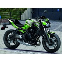 Green_Line Z650 (20-24)