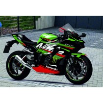 Ninja Style ZX10R (21-24)
