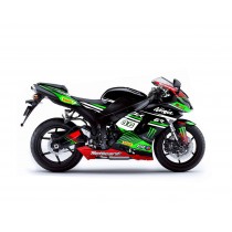 Kaw_ZX6R_(07-08)_Monster